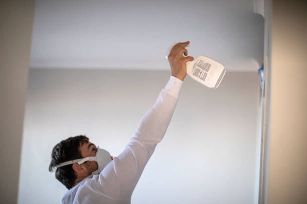 Best Office Mold Removal Services  in Higginsville, MO