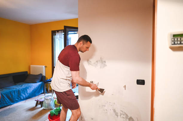 Best Same-Day Mold Removal  in Higginsville, MO